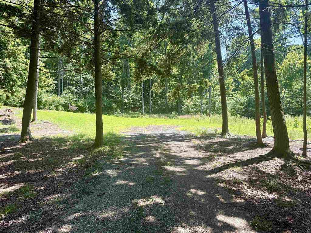 Vacant Land For Sale - 1364 E Maplewing Drive <br/> Cedar, MI 49621