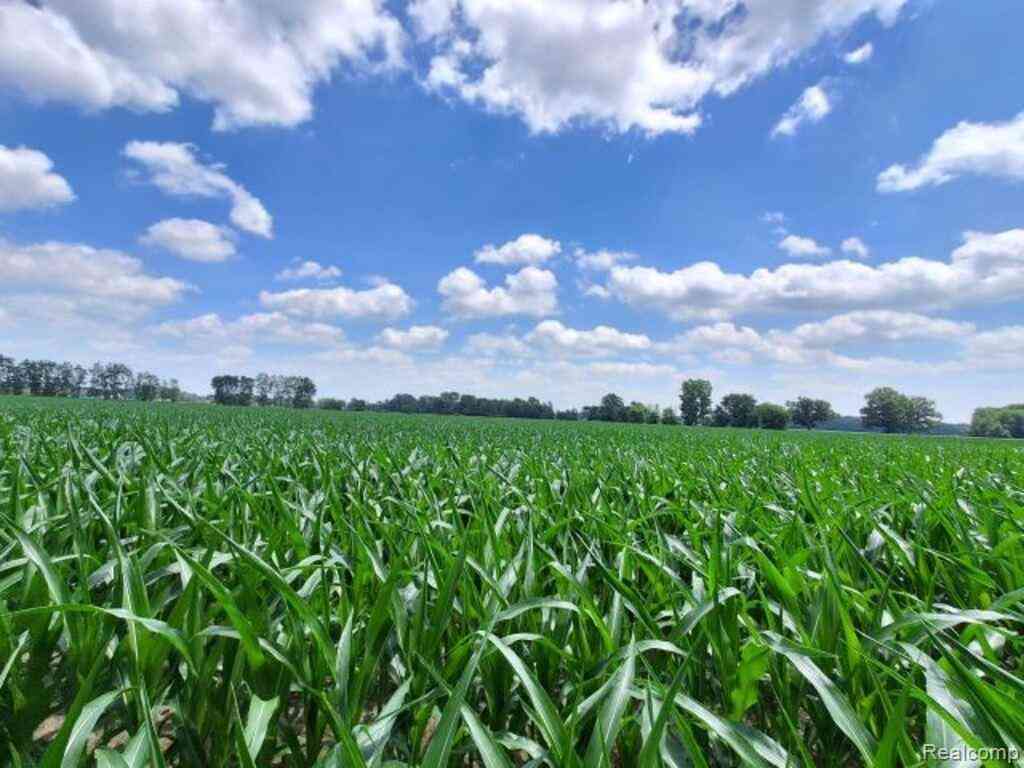 Vacant Land For Sale - AUCTION LOT #6 10 ACRES Capac Road <br/> Saint Clair County, Capac, MI 48014