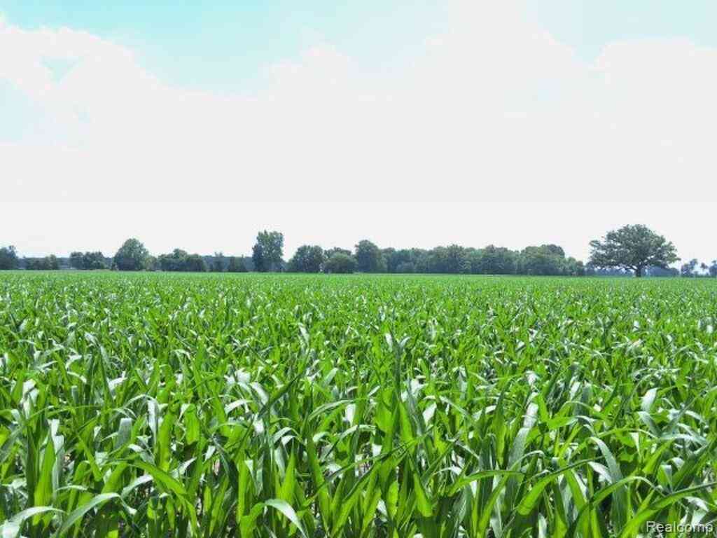 Vacant Land For Sale - AUCTION LOT# 7 10 ACRES Capac Road <br/> Saint Clair County, Capac, MI 48014
