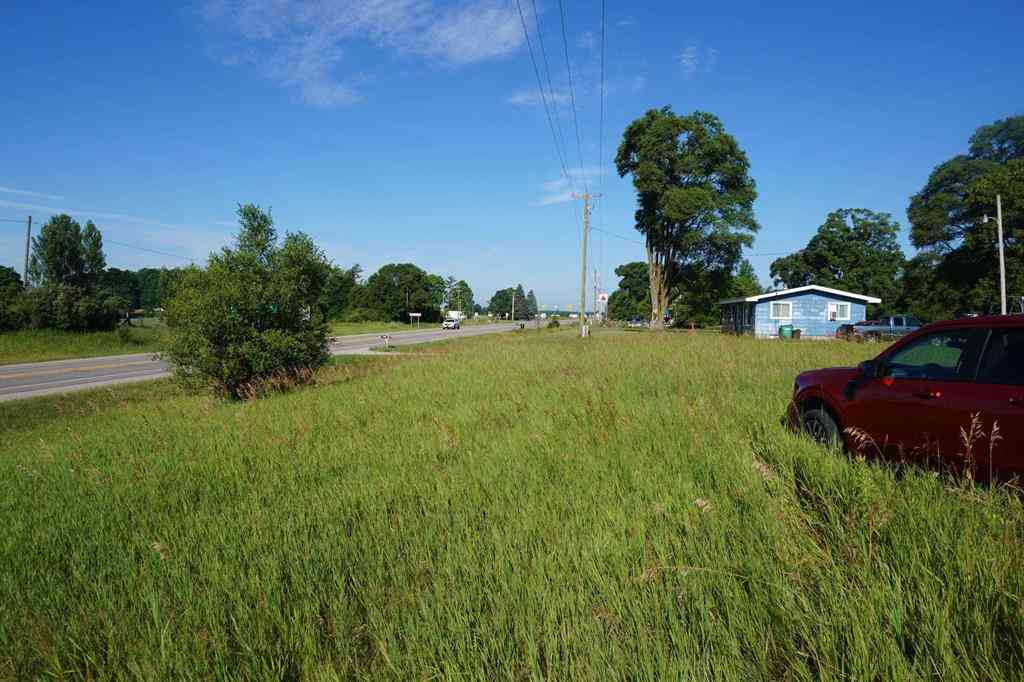 Vacant Land For Sale - 00 Tawas Road <br/> Hale, MI 48739