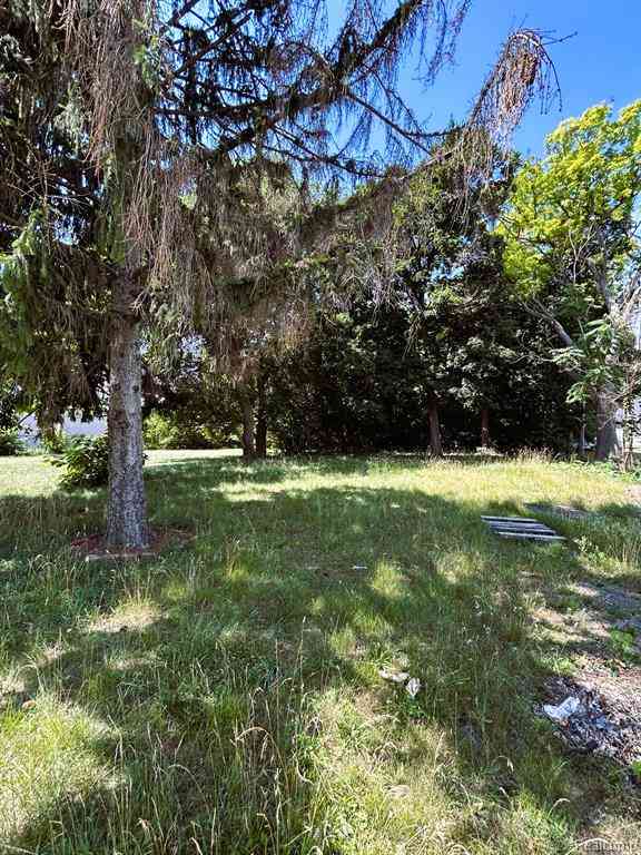 Vacant Land For Sale - 1008 Ann Arbor Street <br/> Genesee County, Flint, MI 48503