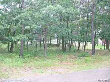 Vacant Land For Sale - 9853 Whispering Pines #37  <br/> Huron County, Pigeon, MI 48755