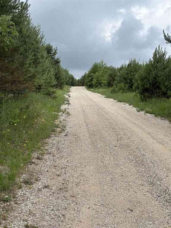Vacant Land For Sale - 1426 SE Riley Road <br/> Kalkaska County, Kalkaska, MI 49646