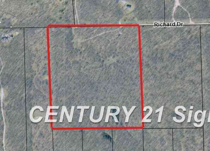 Vacant Land For Sale - Richard Drive <br/> Ogemaw County, West Branch, MI 48661