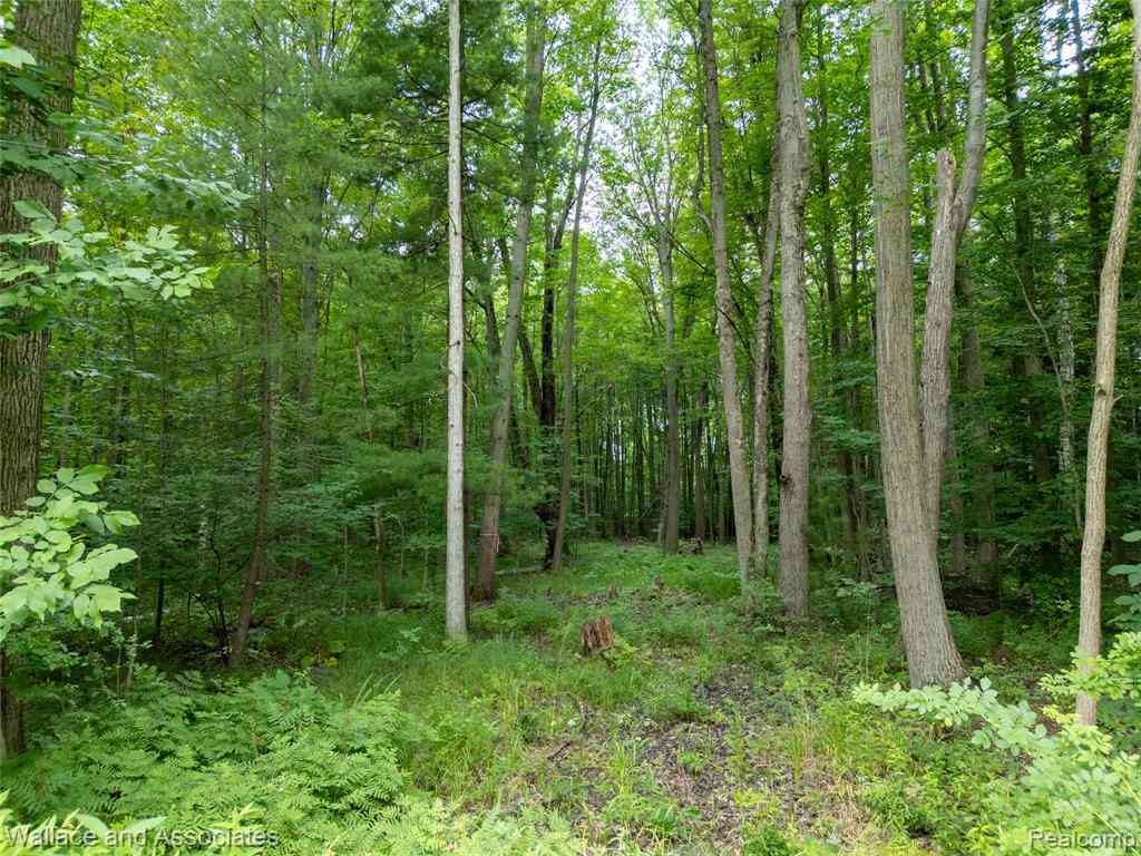 Vacant Land For Sale - V/L Rabidue Road <br/> Saint Clair County, North Street, MI 48049