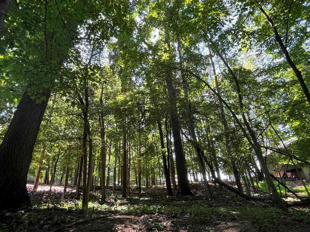 Vacant Land For Sale - 2295 Longmeadow Street Nw NW<br/> Grand Rapids, MI 49504