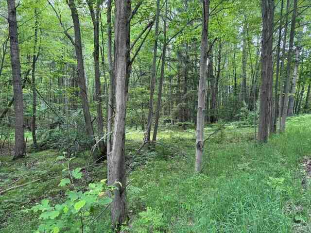 Vacant Land For Sale - 142 Hills Circle <br/> Osceola County, Leroy, MI 49655