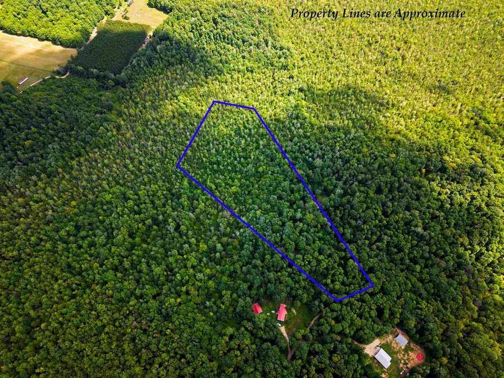 Vacant Land For Sale - 5333 SE Wintergreen Trail <br/> Kalkaska County, Kalkaska, MI 49646