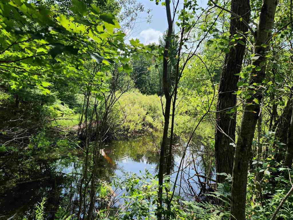 Vacant Land For Sale - 500 East Trail <br/> Kalkaska County, Kalkaska, MI 49646