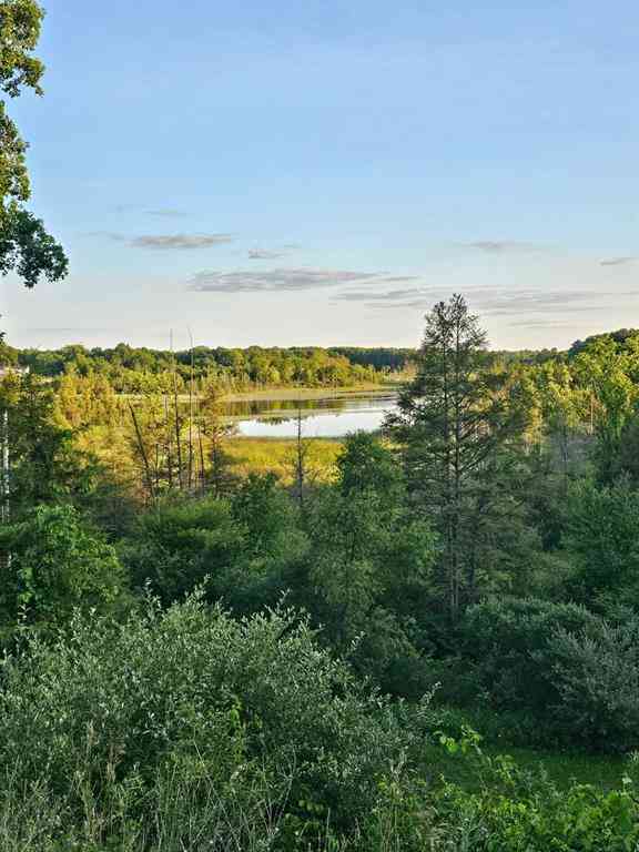 Slider Thumb