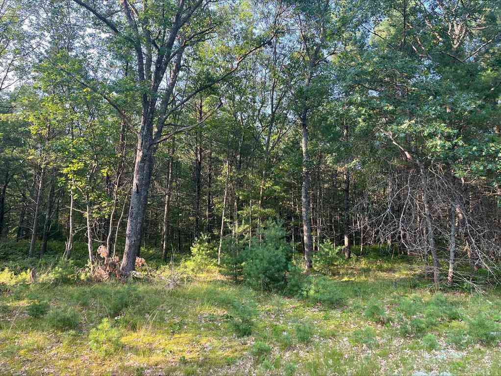 Vacant Land For Sale - Mackenzie Road <br/> Iosco County, Au Sable, MI 48750