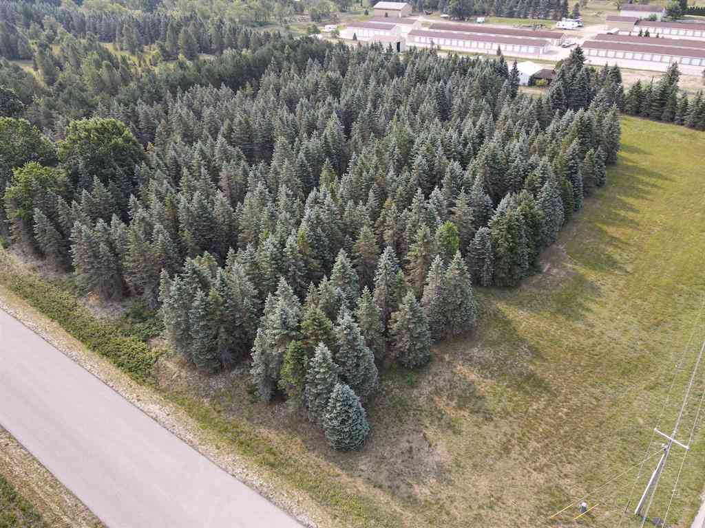 Vacant Land For Sale - PARCEL A Danbury Road <br/> Kingsley, MI 49649
