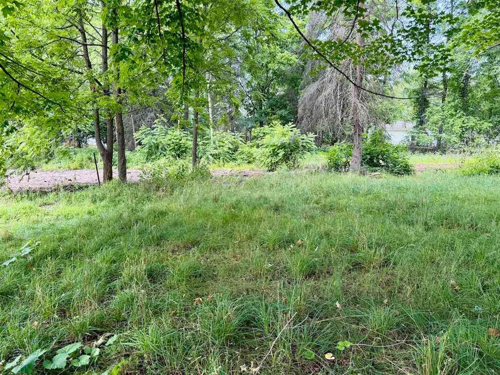 Vacant Land For Sale - LOT 33 Buckley  <br/> Elk Rapids, MI 49629