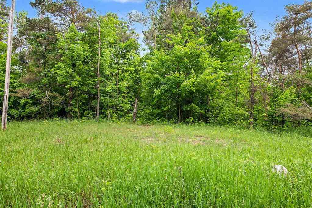 Vacant Land For Sale - VL Robinson Road <br/> Emmet County, Harbor Springs, MI 49740