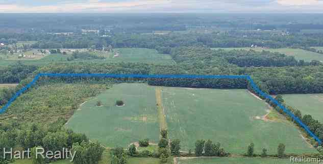 Vacant Land For Sale - 0000 Imlay City Rd  <br/> Saint Clair County, Capac, MI 48014