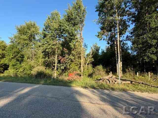 Vacant Land For Sale - 10459 Baker Road <br/> Jerome, MI 49249