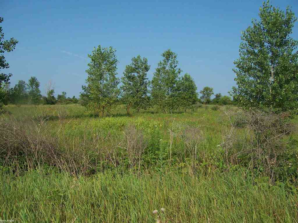Vacant Land For Sale - VACANT Minor Rd Road <br/> Saint Clair County, Memphis, MI 48041