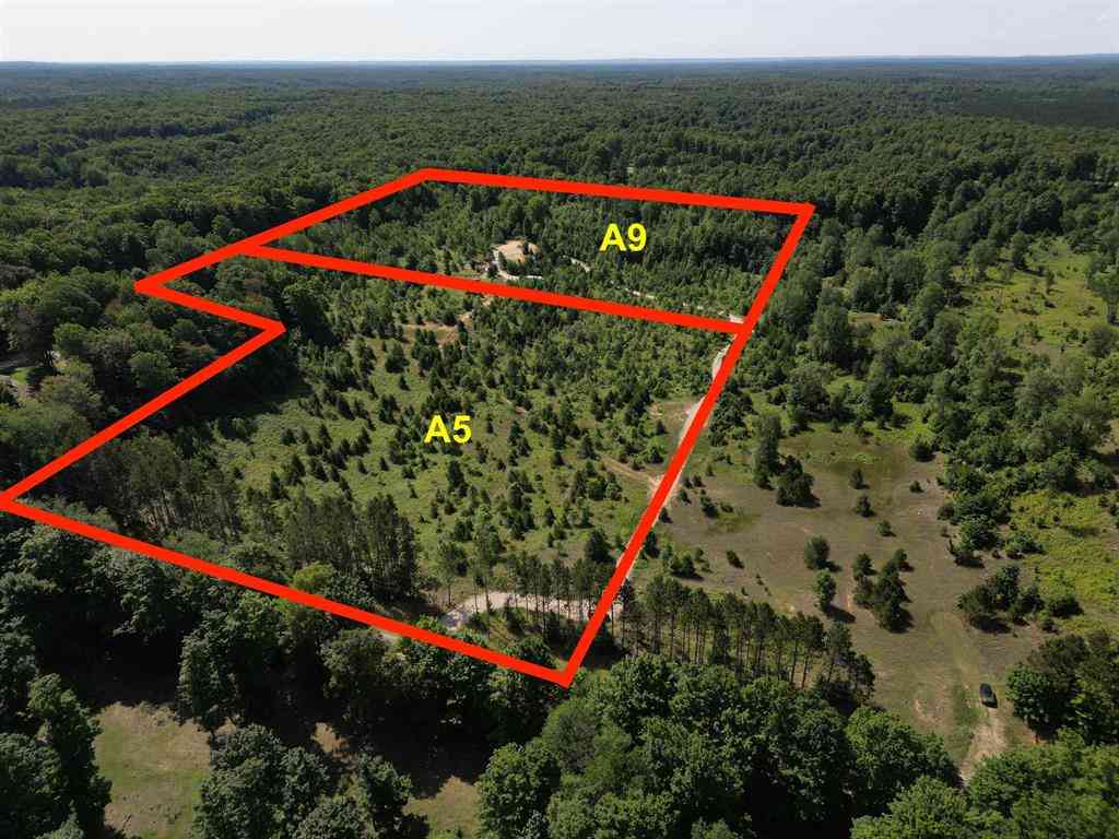 Vacant Land For Sale - A5 & A9 E Kasson Road <br/> Leelanau County, Maple City, MI 49664