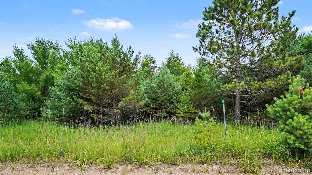 Vacant Land For Sale - 000 Fletcher Road <br/> Roscommon, MI 48653