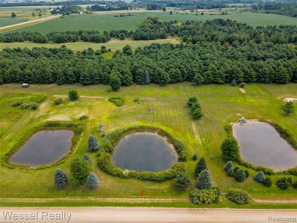 Vacant Land For Sale - Cemetery F  <br/> Kingston, MI 48741
