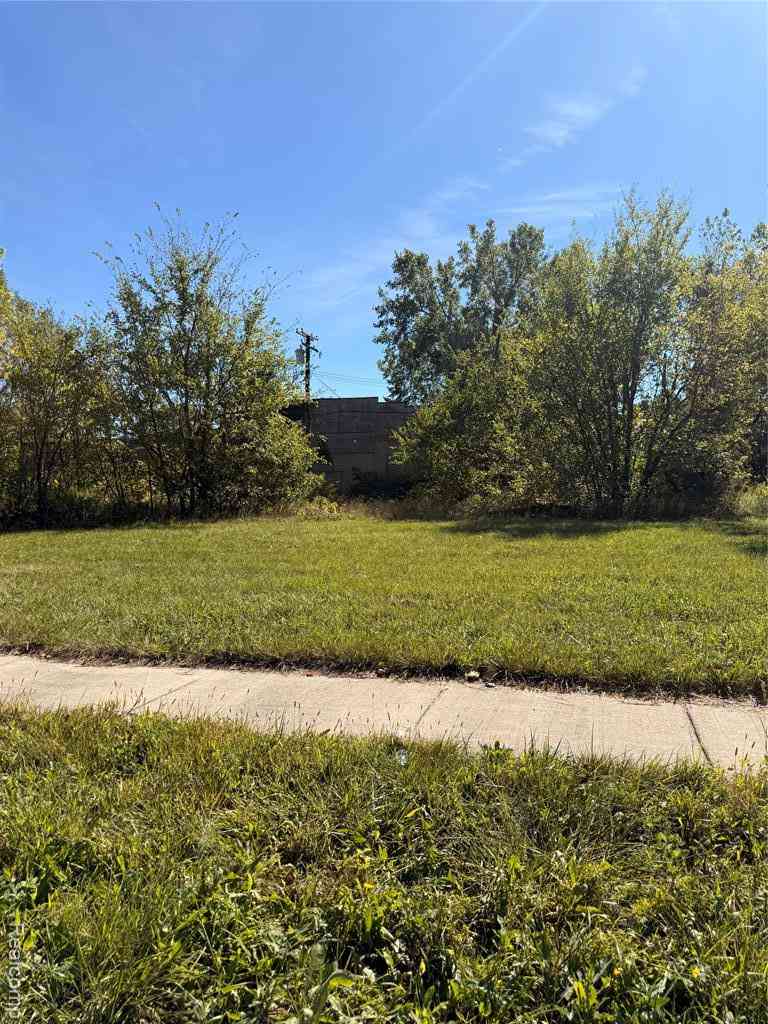 Vacant Land For Sale - 3132 Medbury Street <br/> Detroit, MI 48211