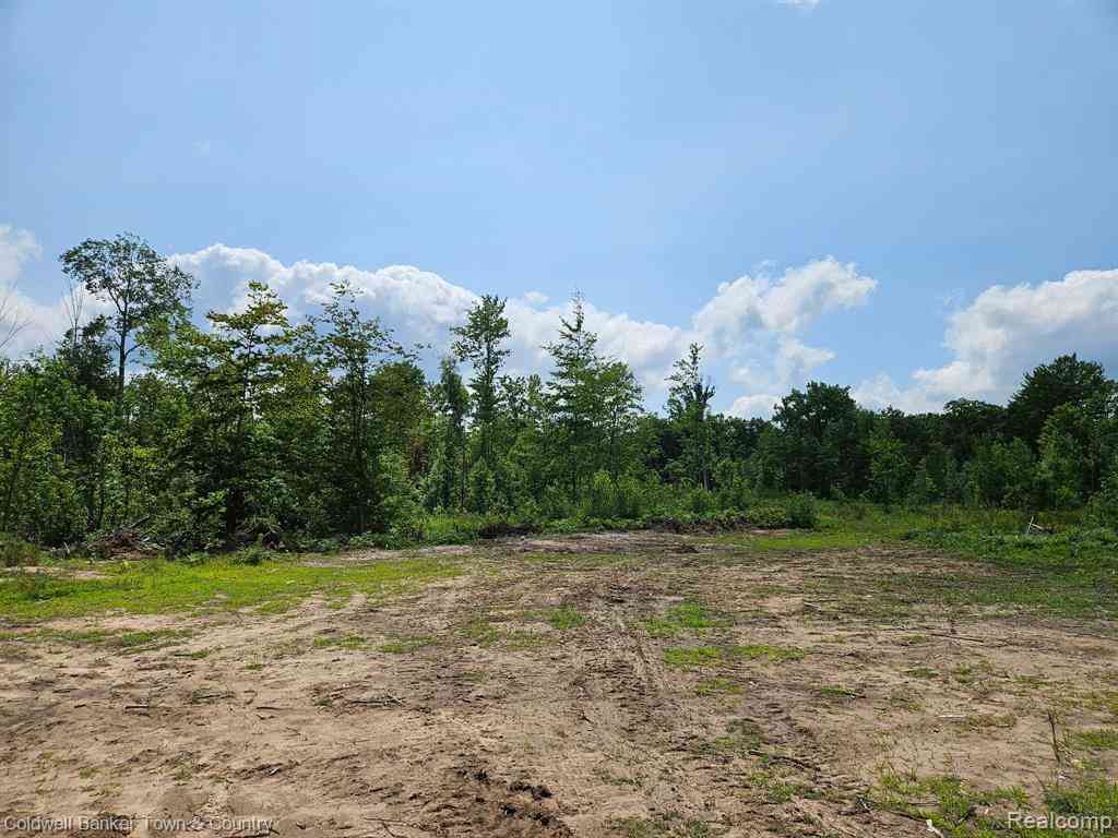 Vacant Land For Sale - VL Lakeside  <br/> Iosco County, Hale, MI 47839