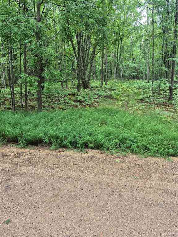 Vacant Land For Sale - 162 (LOT 32) West Ridge Circle  <br/> Leroy, MI 49655