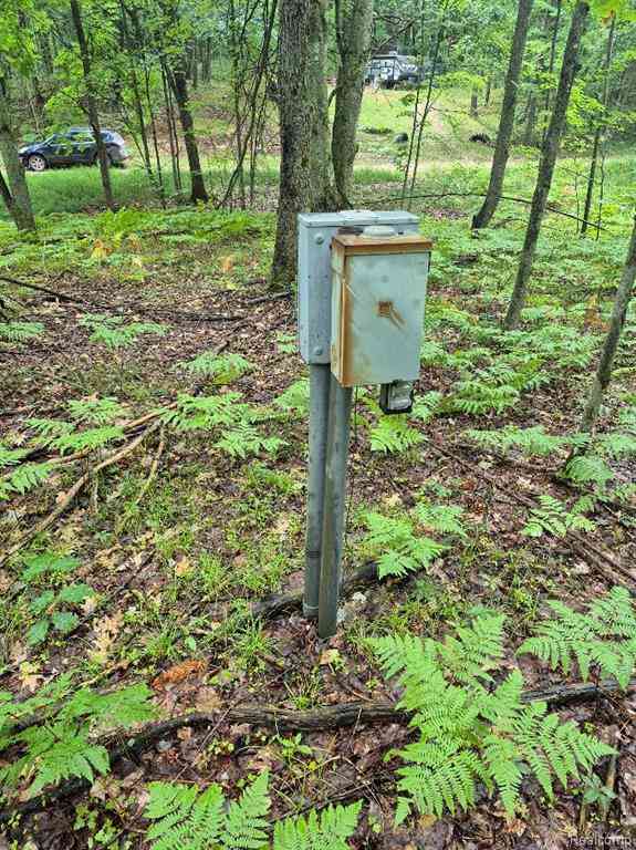 Vacant Land For Sale - 161 (LOT 31) West Circle Ridge  <br/> Leroy, MI 49655