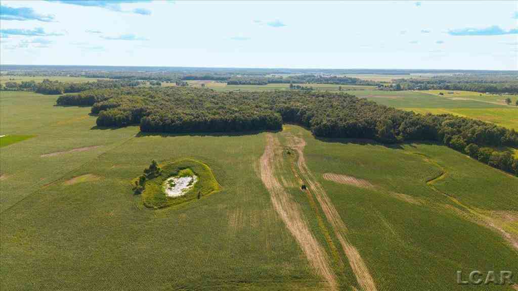 Vacant Land For Sale - V/L S Pittsford Road <br/> Pittsford, MI 49271