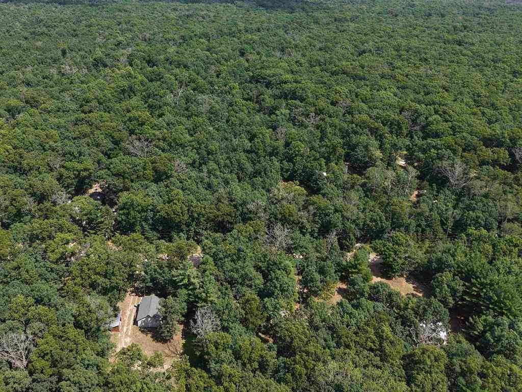 Vacant Land For Sale - LOT 166 James Street <br/> Wellston, MI 49689