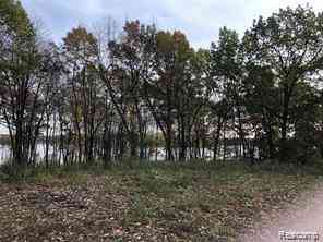 Vacant Land For Sale - 11699 Big Lake Road <br/> Davisburg, MI 48350