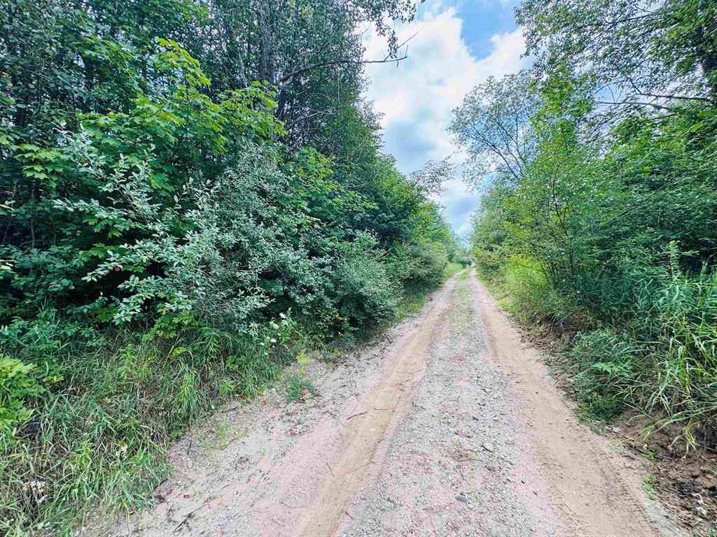 Vacant Land For Sale - PARCEL B4/B5 Bosscher Road <br/> Manton, MI 49663