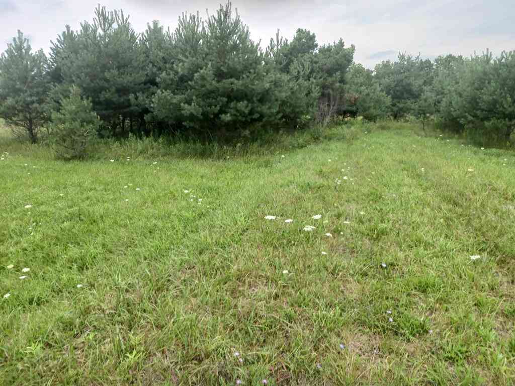 Vacant Land For Sale - M-55  <br/> Prescott, MI 48756