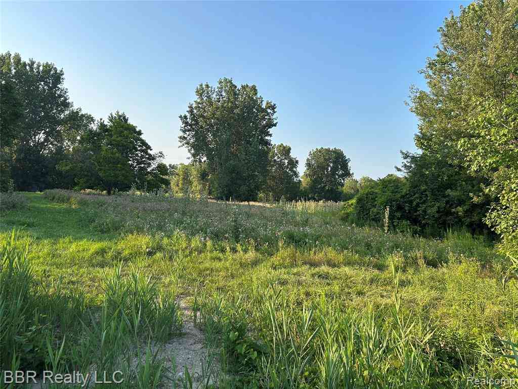 Vacant Land For Sale - VAC Will Carleton  <br/> Wayne County, Flat Rock, MI 48164