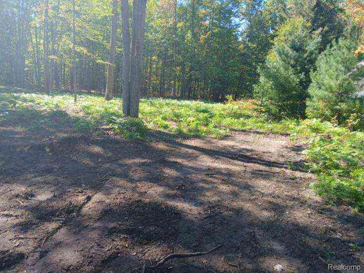 Vacant Land For Sale - Goldenrod Dr Drive <br/> Houghton Lake, MI 48629