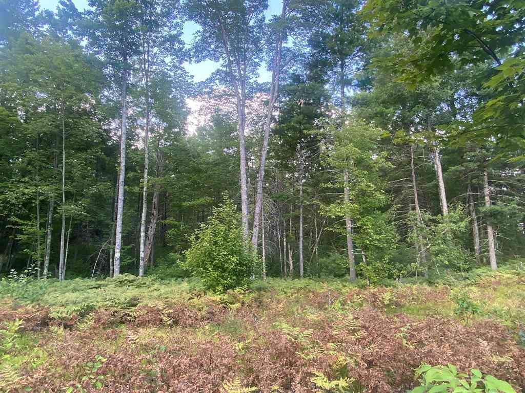 Vacant Land For Sale - 00 S Emma Avenue <br/> Baldwin, MI 49304