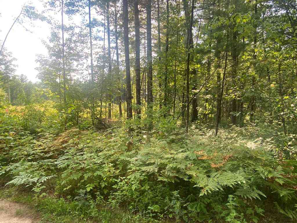 Vacant Land For Sale - 00 S Emma Avenue <br/> Baldwin, MI 49304