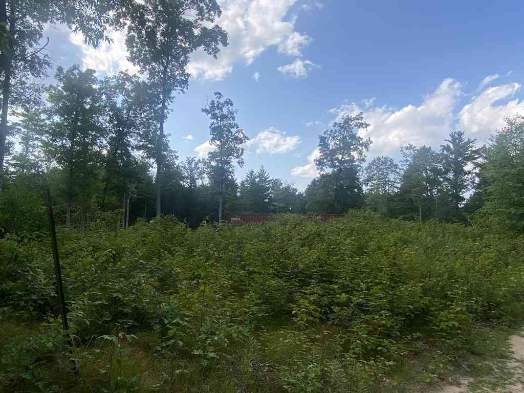 Vacant Land For Sale - 00 S Emma Avenue <br/> Baldwin, MI 49304