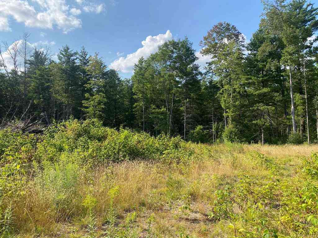 Vacant Land For Sale - 00 S Emma Avenue <br/> Baldwin, MI 49304