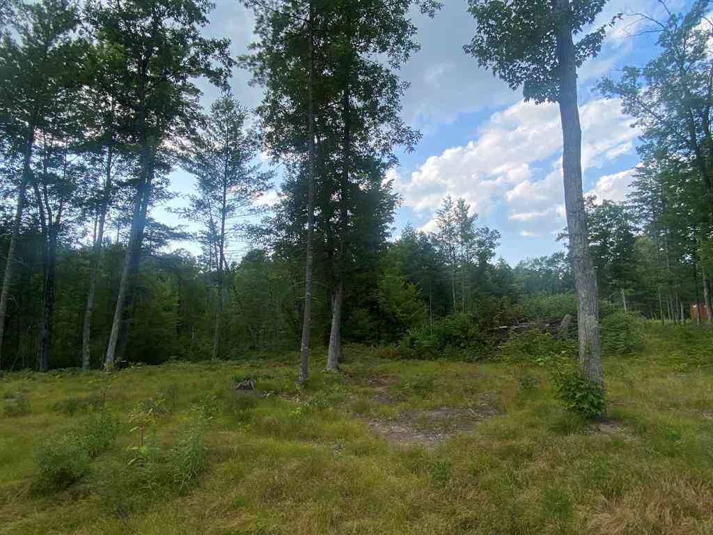 Vacant Land For Sale - 00 S Emma Avenue <br/> Baldwin, MI 49304