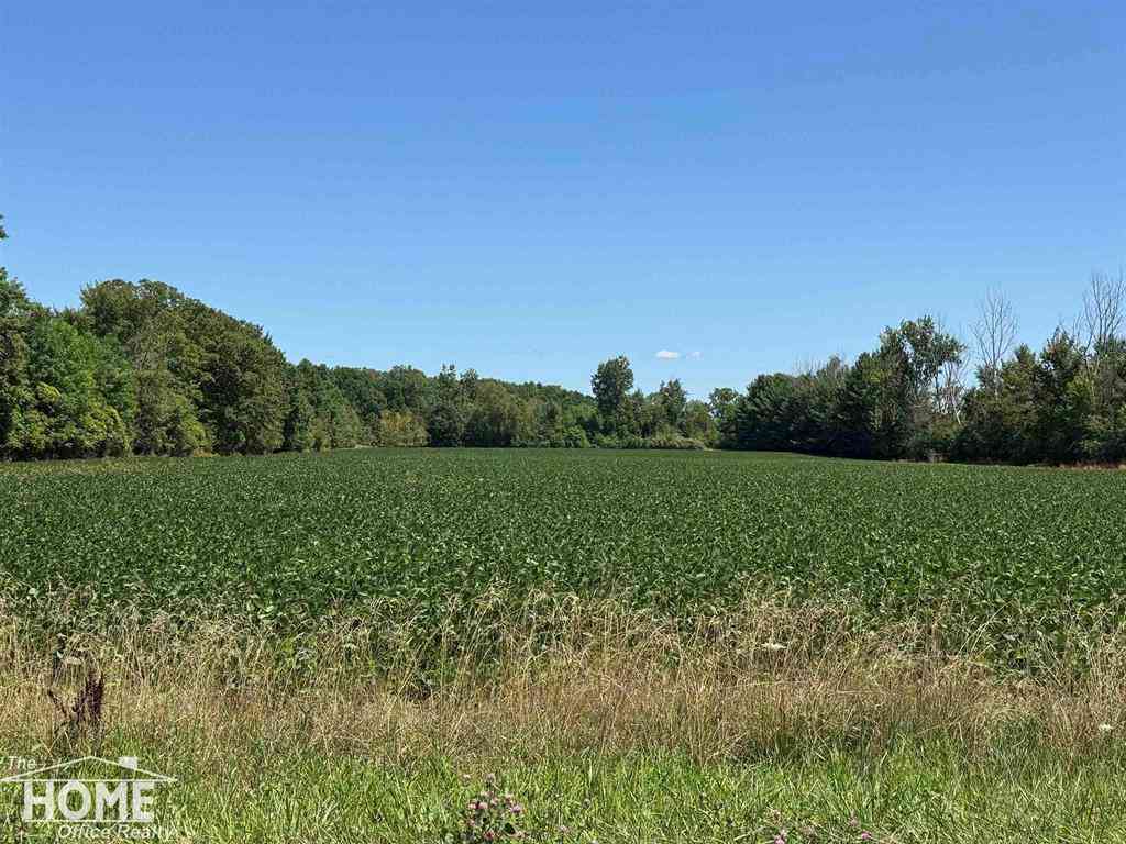 Vacant Land For Sale - VACANT Webster  <br/> Mount Morris, MI 48458