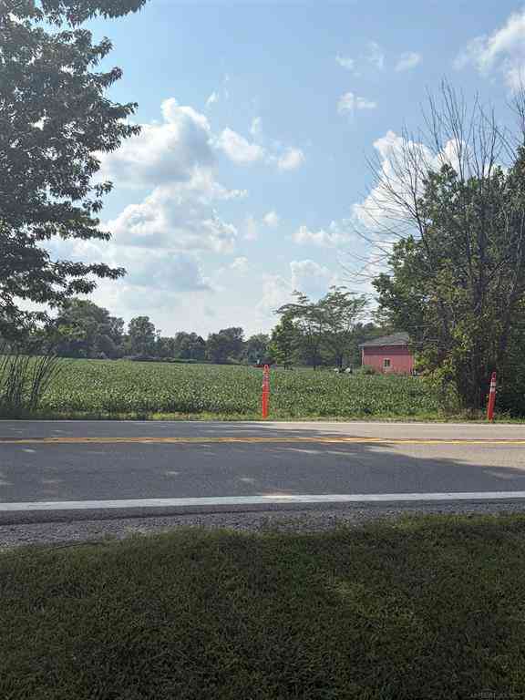 Vacant Land For Sale - Capac Road <br/> Macomb County, Armada, MI 48005
