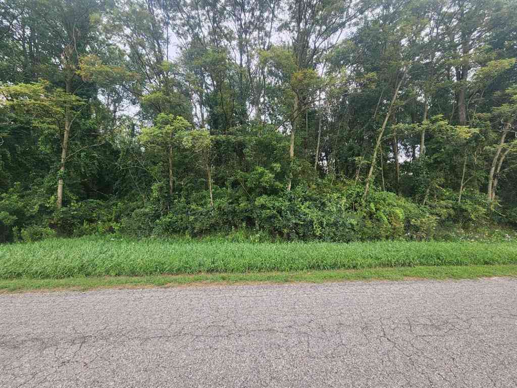 Vacant Land For Sale - Kerry Road <br/> Onekama, MI 49675