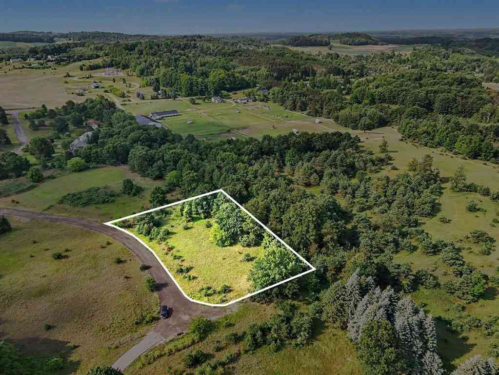Vacant Land For Sale - 11801 S Trails End  <br/> Cedar, MI 49621