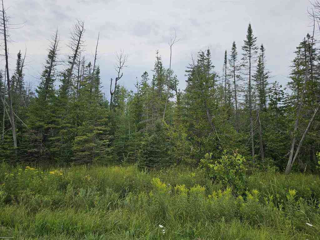 Vacant Land For Sale - 1271 Bloom Road <br/> Alpena, MI 49707