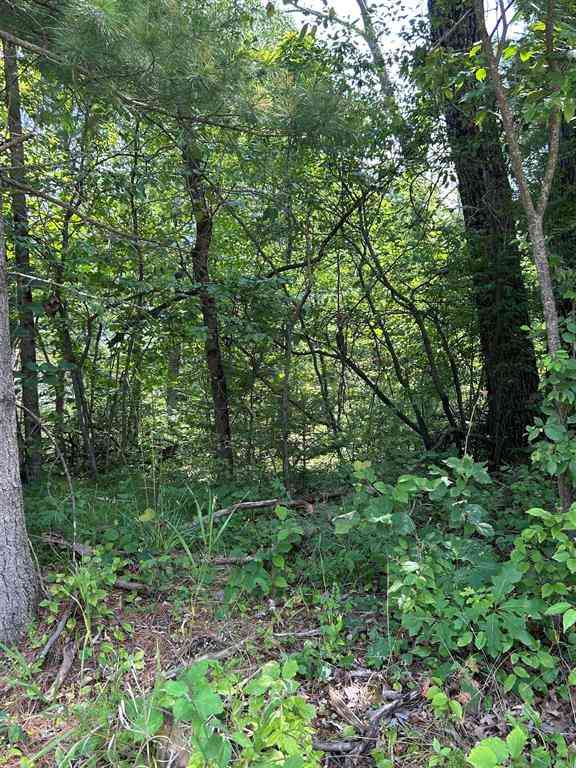 Vacant Land For Sale - VL_828 Choctaw Trail <br/> West Branch, MI 48661