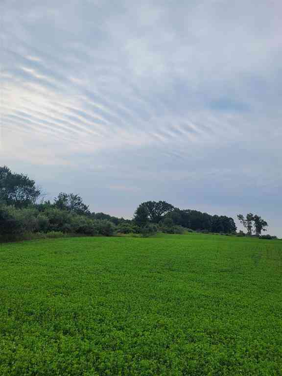 Vacant Land For Sale - V/L N Cook Avenue <br/> Marion, MI 49665