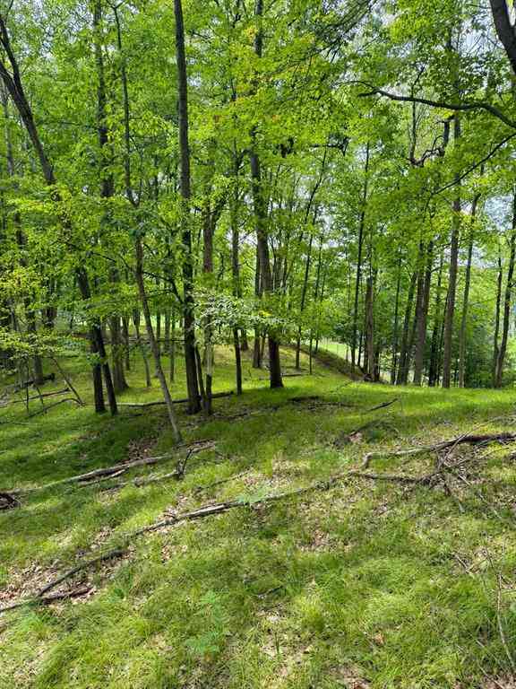 Vacant Land For Sale - 9711 Saint Ives Drive <br/> Canadian Lakes, MI 49346