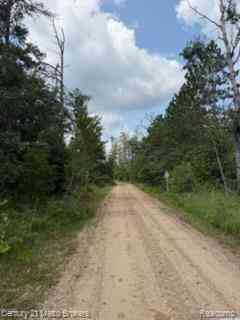 Vacant Land For Sale - 0000 Winding Rd Road <br/> Lewiston, MI 49756