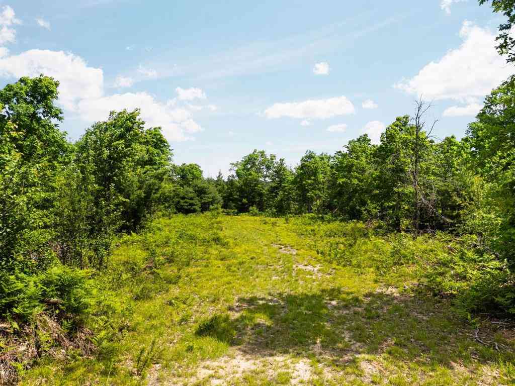 Vacant Land For Sale - 4011 W Forest Road <br/> Lake City, MI 49651
